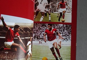 imagem_7