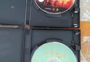 imagem_8