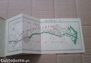 imagem_3