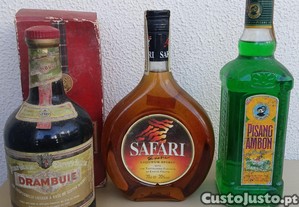 imagem_1