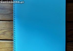 Capa de Micas