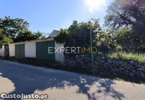 imagem_9