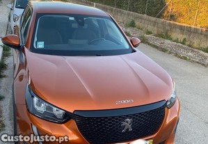 Peugeot 2008 Normal  - 20