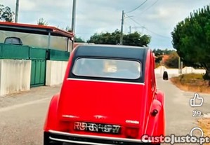 imagem_5