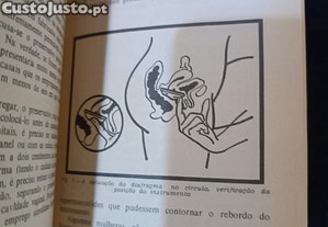 imagem_5