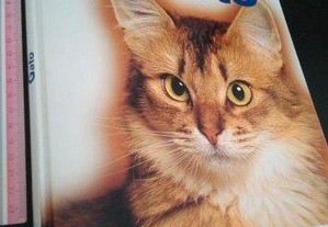 Enciclopédia do gato - volume 2 (Royal Canin) -