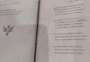 imagem_10
