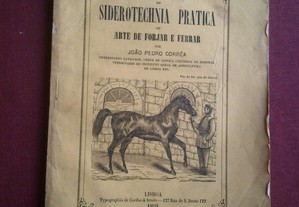 João Pedro Corrêa-Arte de Forjar e Ferrar-1869