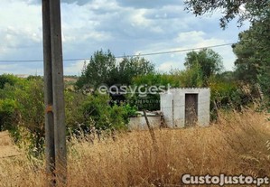 imagem_24