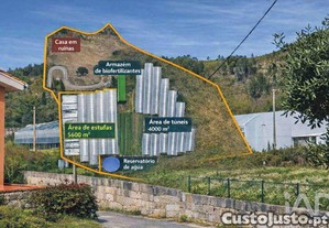 imagem_22