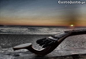 Aulas de Guitarra Portuguesa | Online e Domicílio | Distrito de Aveiro