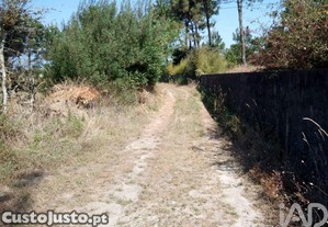 imagem_9
