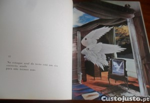 imagem_4
