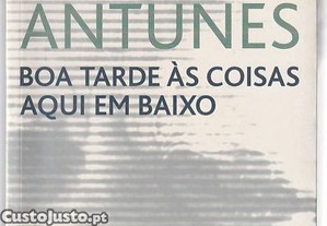 imagem_1
