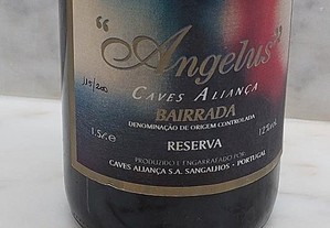 imagem_3