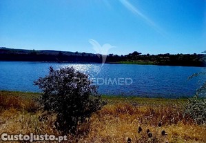 imagem_11