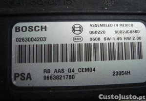imagem_2
