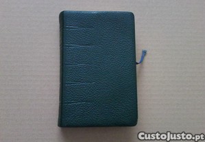 imagem_1