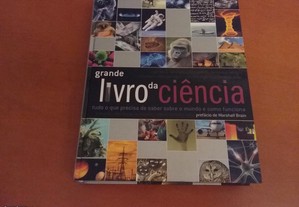 imagem_8