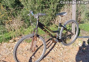 Bicicleta.              .