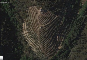 Terreno, 30000m2, com plantação de Mirtilos, Melres, Gondomar