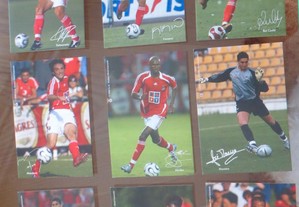 imagem_4