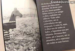 imagem_6