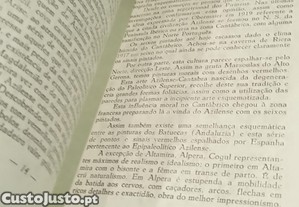 imagem_9