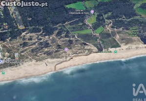 Prdio em rvore de 1735 m