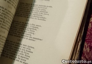 imagem_8