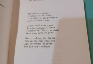 imagem_5