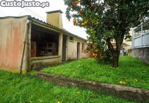 imagem_29