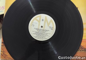 imagem_8