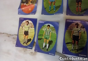 imagem_3