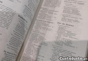 imagem_7