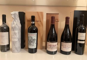 Vinhos Tintos Premium (Barva velha, Pera Manca, etc)