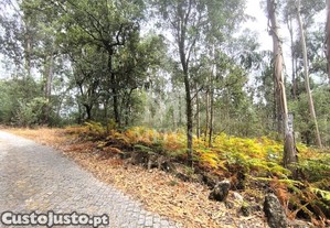 Terreno Rstico Em Aguiar