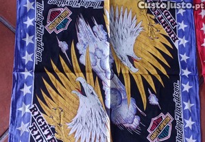 imagem_7