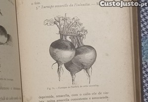 imagem_6