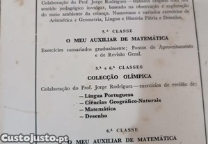 imagem_7