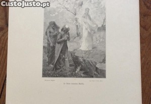 imagem_8