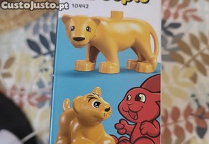 imagem_3
