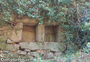 imagem_6