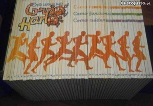 imagem_3