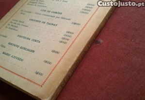 imagem_8