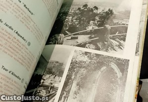 imagem_5