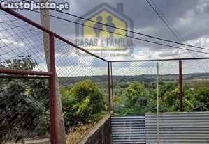 imagem_13