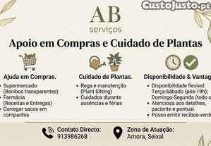 imagem_1