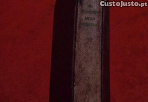 imagem_3