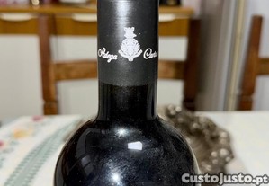 imagem_6